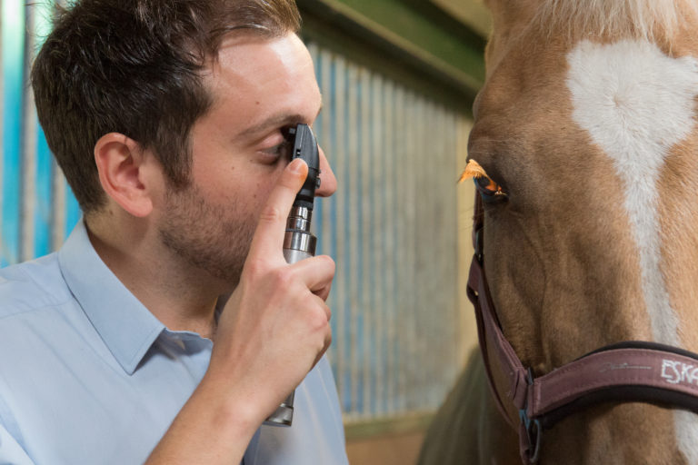 Eye checks and medical examinations